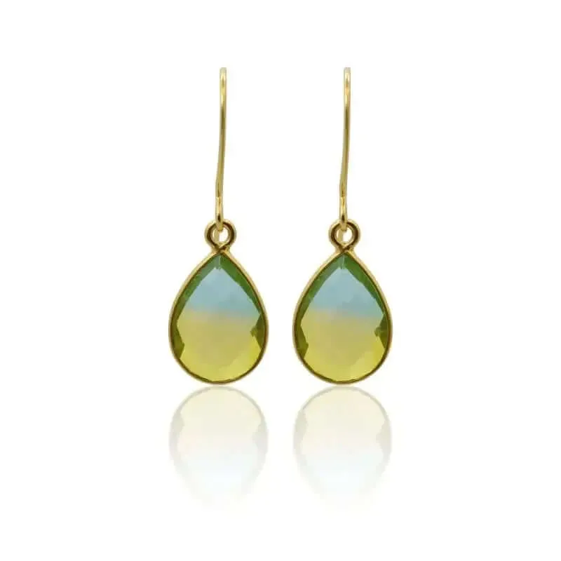 Tropical Aura Drop Short Gold Earrings